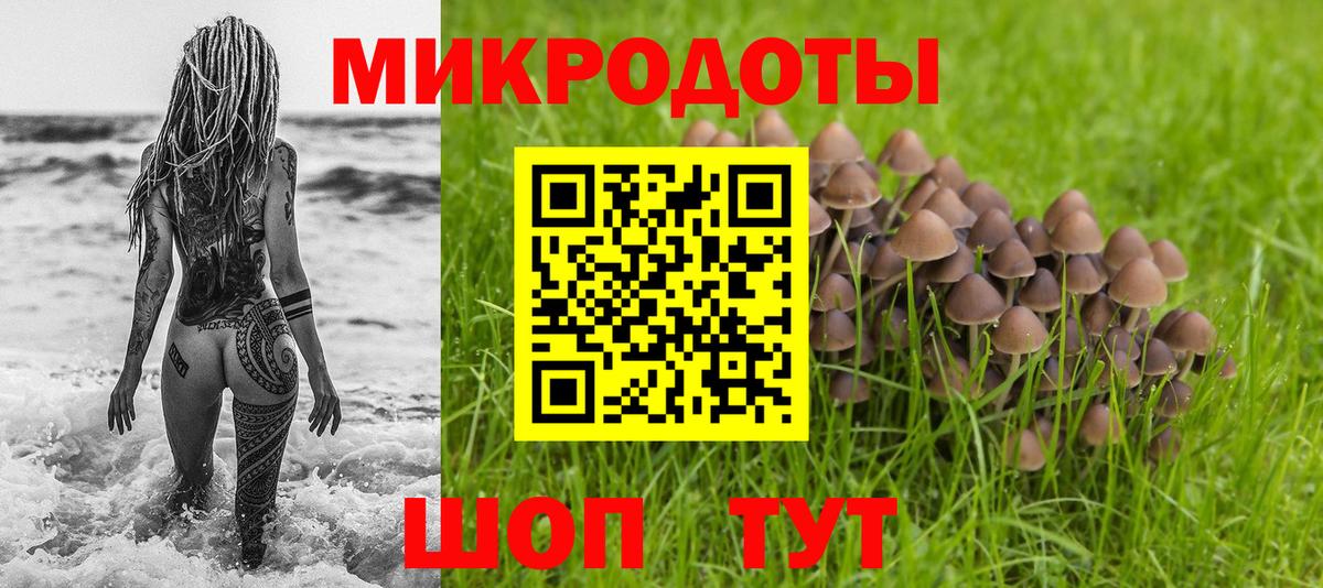 Псилоцибиновые грибы MAGIC MUSHROOMS  Вход с VPN  Сергиев Посад  Псилоцибиновые грибы MAGIC MUSHROOMS 