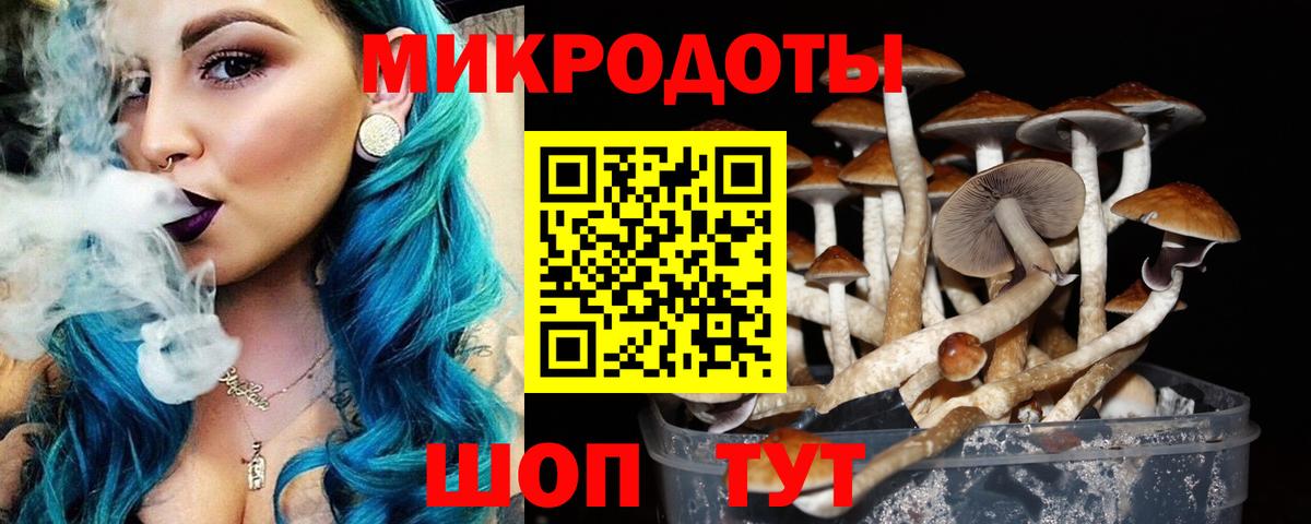 Галлюциногенные грибы Cubensis Сергиев Посад