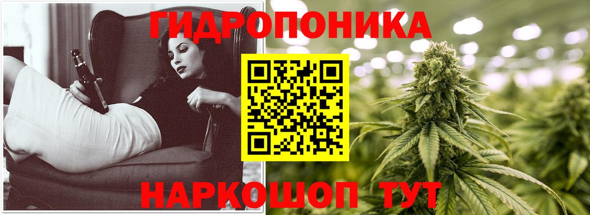 Шишки марихуана конопля Сергиев Посад